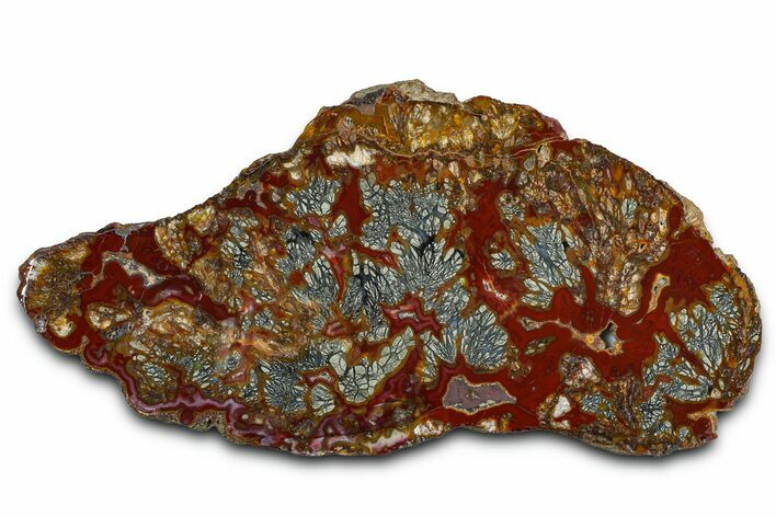 Colorful Polished Marcasite Agate Slab - Indonesia #378132